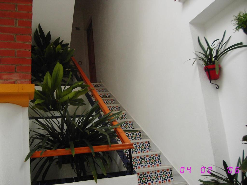 Apartamentos Los Arcos El Bosque Camera foto